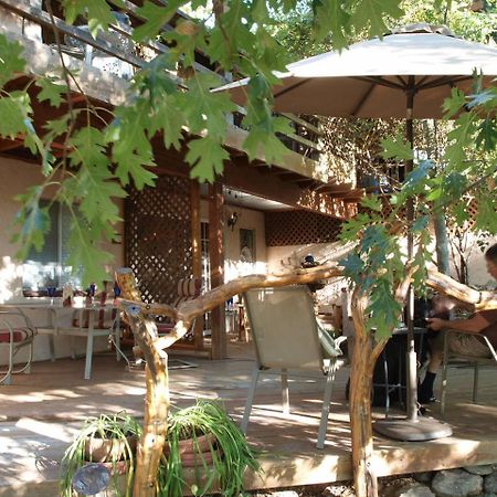 Wikiup Hummingbird Hotel จูเลียน ภายนอก รูปภาพ
