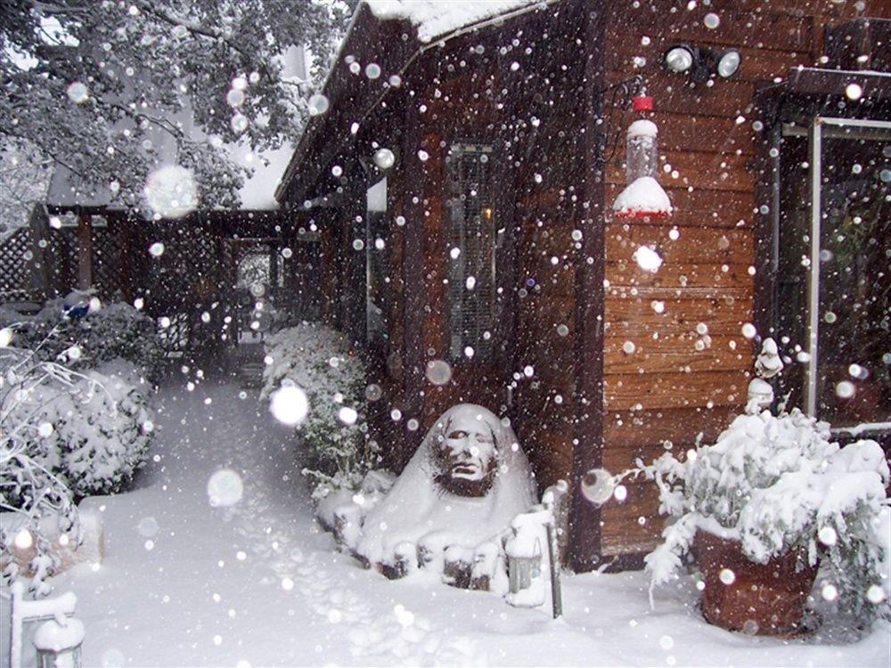 Wikiup Hummingbird Hotel จูเลียน ภายนอก รูปภาพ